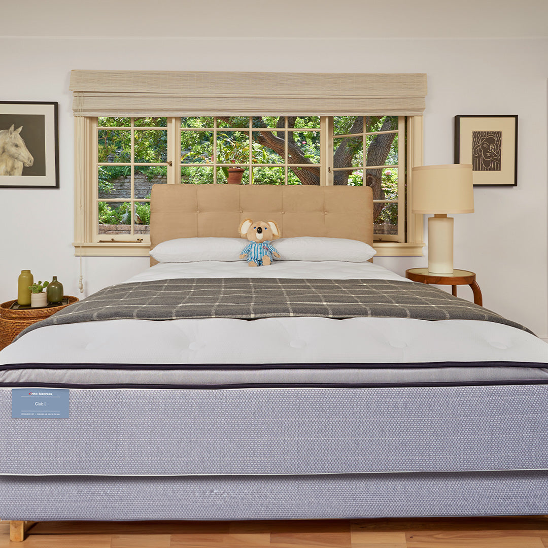 Charlotte plush euro top store mattress price